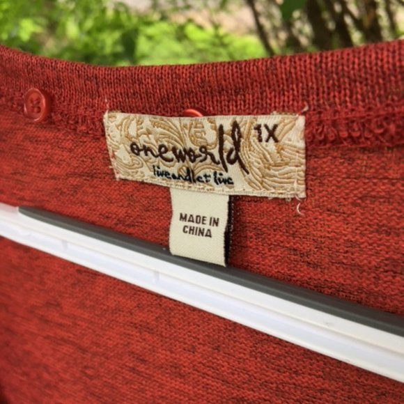 Elegant NWT Rust colored Tunic with border 1x - Picture 4 of 6